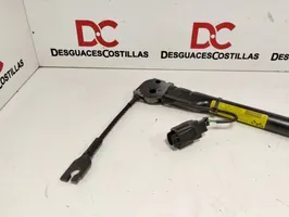 Renault Clio III Boucle de ceinture de sécurité avant 8200794023