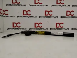 Renault Clio III Boucle de ceinture de sécurité avant 8200794023