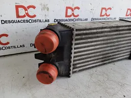 Citroen Xsara Picasso Interkūlerio radiatorius E256083