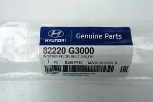 Hyundai Elantra VI Listwa / Uszczelka szyby drzwi przednich 