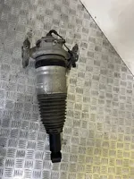 Porsche Cayenne (92A) Ammortizzatore/sospensione pneumatica 7P5616019AP