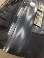 Skoda Octavia Mk2 (1Z) Galinis dangtis (bagažinės) 