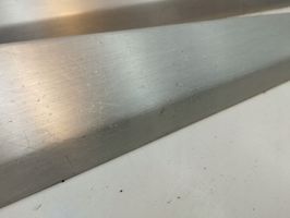 BMW X1 E84 Front door trim bar 