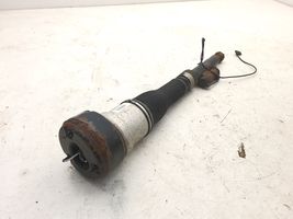 Mercedes-Benz S W221 Air suspension rear shock absorber C086106