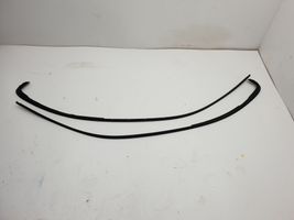 BMW 3 E46 Roof trim bar molding cover 