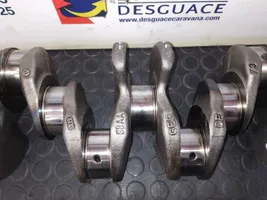 Volkswagen PASSAT B7 Crankshaft 03L101B