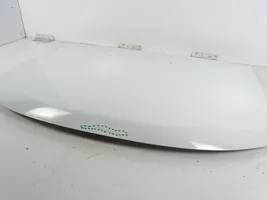 Dacia Duster Engine bonnet/hood 