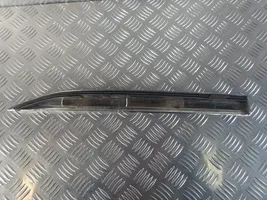 Lexus RX III Rear door trim (molding) 10921640L0