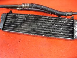 Renault Espace -  Grand espace IV Radiateur d'huile moteur 8200186483