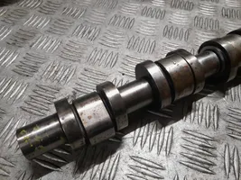 Seat Leon (1P) Camshaft C53825044