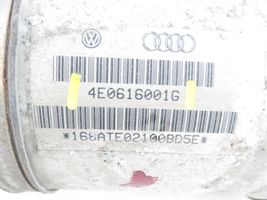 Audi A8 S8 D3 4E Sacca a pressione sospensione/ammortizzatore posteriore 