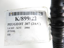 Peugeot 307 Vacuum line/pipe/hose 