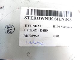 Hyundai H-100 Sterownik / Moduł ECU 3910042220