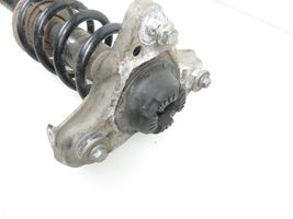 Audi A4 S4 B7 8E 8H Ammortizzatore anteriore con molla elicoidale 