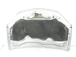 Chevrolet Equinox Engine bonnet/hood 