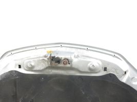 Chevrolet Equinox Engine bonnet/hood 