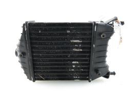 Fiat Punto (188) Starpdzesētāja radiators 