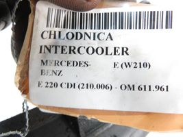 Mercedes-Benz E AMG W210 Interkūlerio radiatorius 