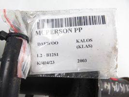 Daewoo Kalos Front shock absorber with coil spring 