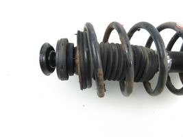 Daewoo Kalos Front shock absorber with coil spring 