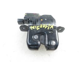 Renault Megane III Tailgate/trunk/boot lock/catch/latch 846300003RA