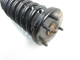 Honda Accord Front shock absorber with coil spring 