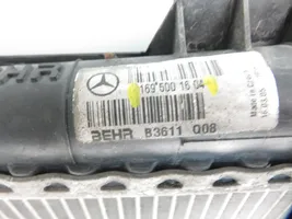 Mercedes-Benz A W169 Radiador del refrigerante 1695001604