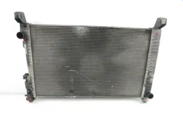 Mercedes-Benz A W169 Radiador del refrigerante 1695001604