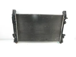 Mercedes-Benz A W169 Coolant radiator 1695001604