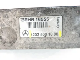 Mercedes-Benz C W202 Радиатор интеркулера 