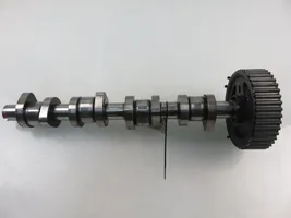 Volkswagen PASSAT B5.5 Camshaft 