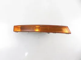 Volkswagen PASSAT B6 Front indicator light 