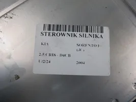 KIA Sorento Sterownik / Moduł ECU 391004A810