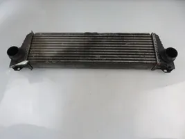 Mercedes-Benz Vito Viano W639 Intercooler radiator 