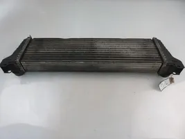 Mercedes-Benz Vito Viano W639 Intercooler radiator 