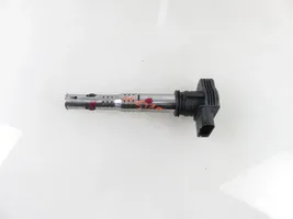 Audi A4 S4 B7 8E 8H High voltage ignition coil R0702S00300