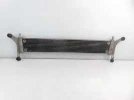 Volkswagen Touareg I Dzesēšanas šķidruma radiators 