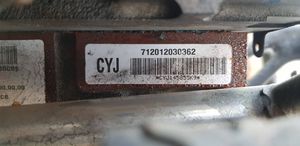 Chevrolet Captiva Silnik / Komplet 