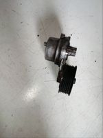 Chevrolet Captiva Napinacz paska alternatora GM25182787