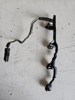 Land Rover Range Rover Sport L320 Cavi iniettore di carburante 6H4Q14C000