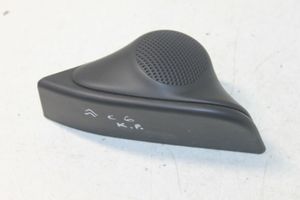 Citroen C6 Front door speaker cover trim 