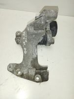 Nissan Qashqai Generatoriaus diržo įtempėjas 117104394R