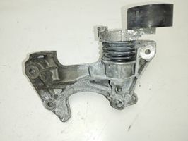 Nissan Qashqai Generatoriaus diržo įtempėjas 117104394R