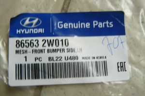 Hyundai Santa Fe Mascherina/griglia fendinebbia anteriore 865632W010