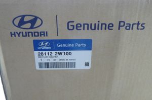 Hyundai Santa Fe Scatola del filtro dell’aria 281122W100