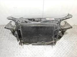 Audi A4 S4 B6 8E 8H Radiatorių panelė (televizorius) 