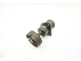 Ford Focus Napinacz paska wielorowkowego / Alternatora 