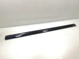 Mercedes-Benz C AMG W203 Front door trim (molding) A2036902162