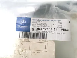 Mercedes-Benz C W203 Priekšpusē apdares gumija (uz durvīm) A2036971251