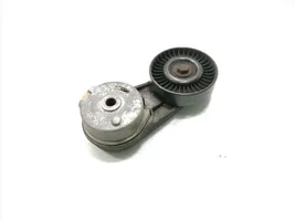 Opel Signum Tensor de la correa del alternador 24430296